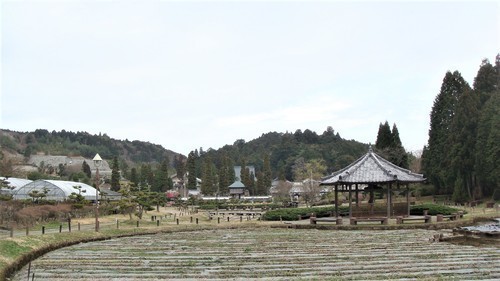 08花しょうぶ園.JPG