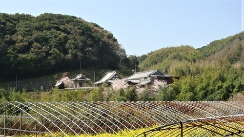 2全景(28-3018)(00)浄瀧寺 (1).JPG