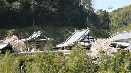 3外観(28-3018)(00)浄瀧寺 (2).JPG