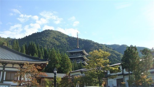 2五重塔(18-2401)(00)清大寺 (1).JPG