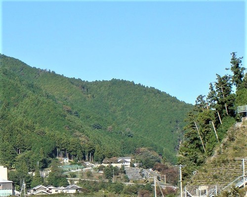 2白屋橋からの宝寿院遠景(29-832)(00)宝寿院 (3).JPG