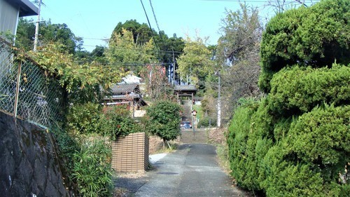 1参道(43-1703)(00)東福寺 (1).JPG