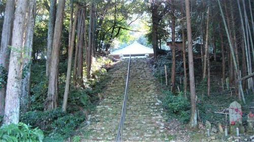 1参道(22-2114)(00)岩松寺 (17).JPG