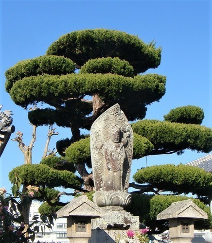 03(28-0000)常厳寺.JPG