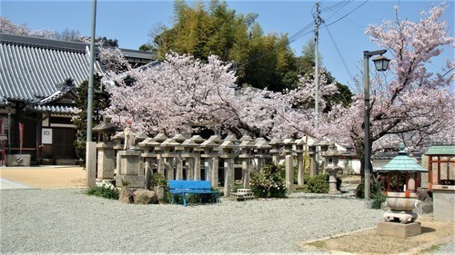 4境内(28-3020)八幡寺 (6).JPG