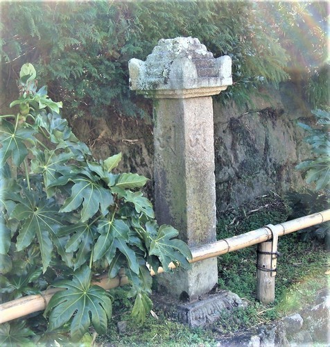 ８（２６－６７０５２）浄瑠璃寺道丁石 (8).JPG