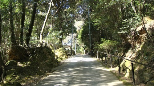 25光明寺参道(28-0000)加東市 (13).JPG