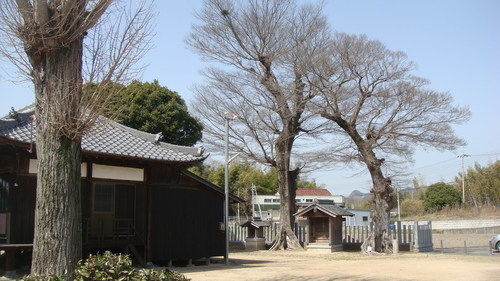 37貝原薬師堂(28-0000)加東市 (2).JPG