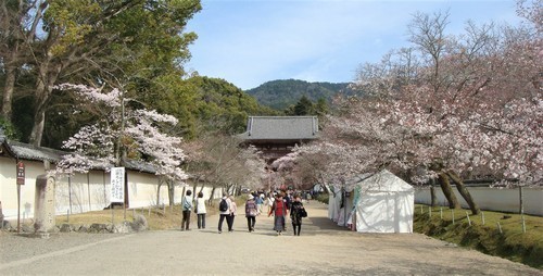 １１仁王門への参道（２６－００００）醍醐寺 (8).JPG