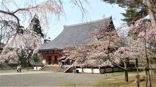 ２７金堂（２６－００００）醍醐寺 (19).JPG