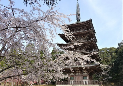 ２５五重塔（２６－００００）醍醐寺  (2).JPG