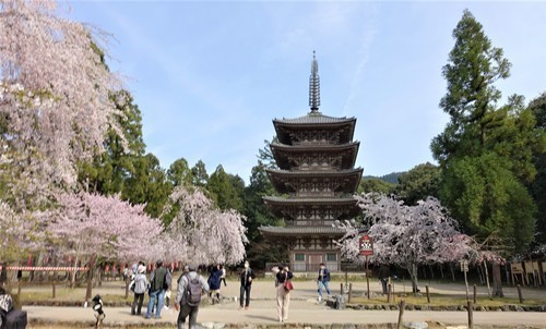 ２３五重塔（２６－００００）醍醐寺  (1).JPG