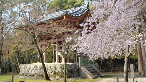 32鐘楼(26-0000)醍醐寺 (18).JPG