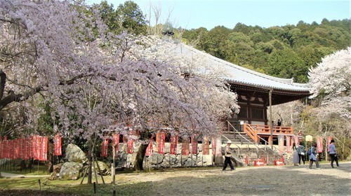 ３３観音堂（２６－００００）醍醐寺 (15).JPG