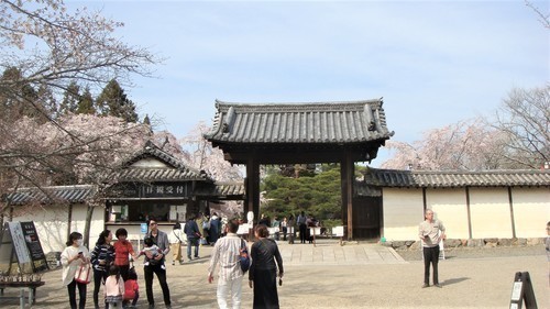 ４１三宝院通用門（２６－００００）醍醐寺 (7).JPG