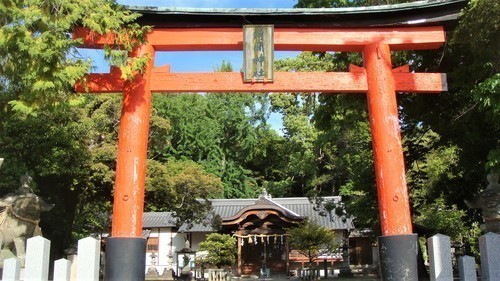 ４片岡神社（２９－００００）岩松寺 (3).JPG
