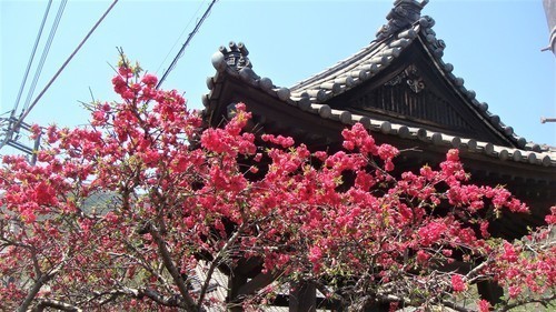 03鞆の浦のお寺(35-0000)福山 (15).JPG