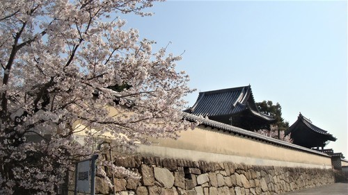 13妙政寺(35-0000)福山 (4).JPG
