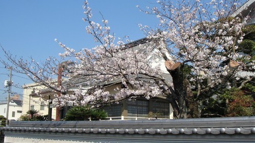 23大念寺(35-0000)福山 (7).JPG