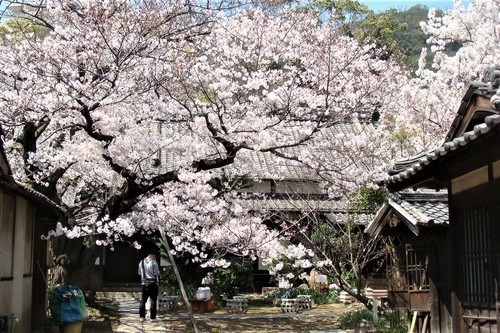 35静観寺(35-0000)福山 (13).JPG