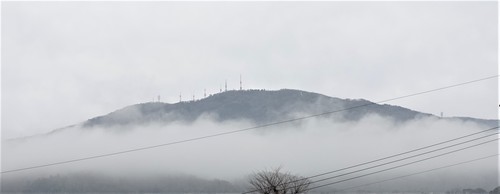 1雲上の生駒山(29-580)無量寺 (25).JPG