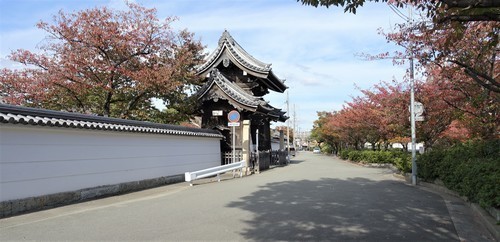 1門前(28-4501)十輪寺 (2).JPG