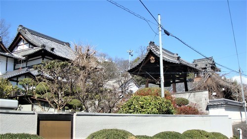 2全景(29-660)教行寺 (2).JPG