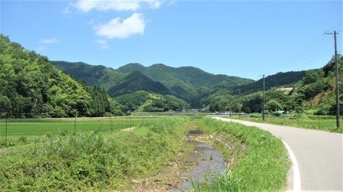 1金剛寺へ(28-6546)金剛寺 (23).JPG