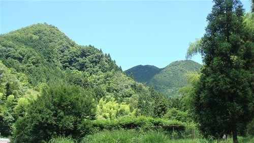 8周辺(28-6546)金剛寺 (21).JPG