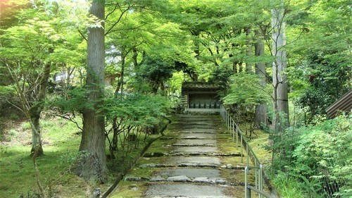 5参道(28-6546)金剛寺 (9).JPG