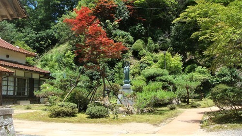 6境内(28-6546)金剛寺 (13).JPG