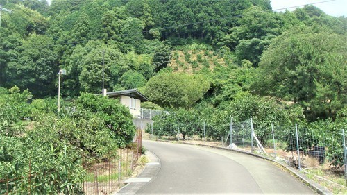 ２里山の道（２２－３２０３）常願寺  (3).JPG