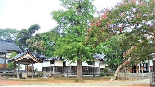 3境内(17-2201)常徳寺 (20).JPG