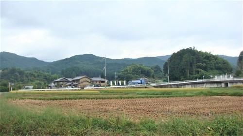 2高取に入って(29-0000)土佐 (1).JPG