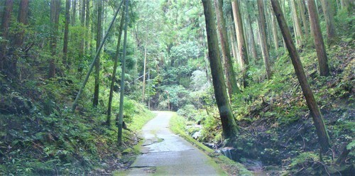 4参道(24-0000)宗泉寺 (3).JPG