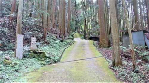5参道(24-0000)宗泉寺 (4).JPG