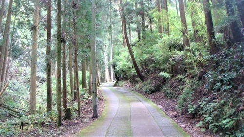 3宗泉寺参道(24-0000)宗泉寺 (7).JPG