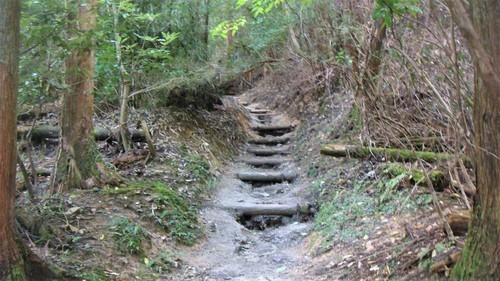 3登山開始(24-0000)高取山 (4).JPG