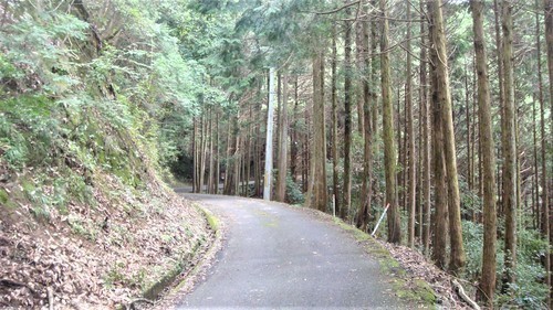 2高取山へ(24-0000)高取山 (2).JPG