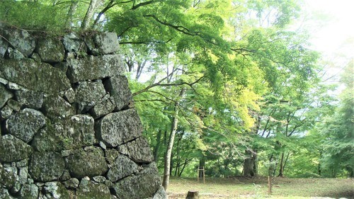 11(24-0000)高取山 (23).JPG