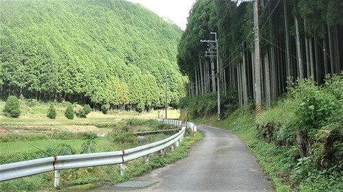 1蔵王寺へ(24-0000)大淀 (1).JPG