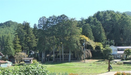 ４前方木立の中に薬師堂（２０－４３０２）光輪寺 (15).JPG