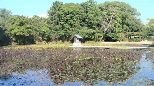 2弁天池(22-2116)(00)松秀寺 (3).JPG