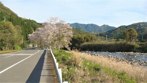 １県道１２号（３９－００００）アプローチ (1).JPG