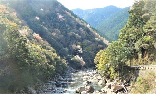 ３安田川渓谷（３９－００００）アプローチ (3).JPG