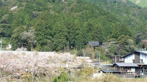 ６金林寺遠景（３９－００００）アプローチ (7).JPG