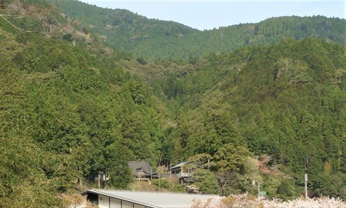 １１遠景（３９－０６０１）金林寺.JPG