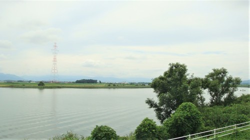 1九頭竜川(18-2215)称名寺 (2).JPG