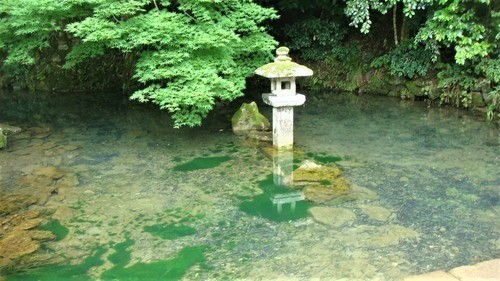 １天神水（２５－３９２３）林蔵寺  (2).JPG