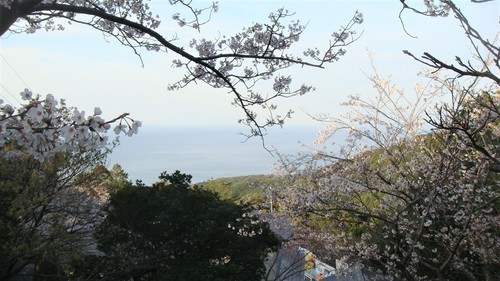４境内からの眺望（３９－０７０１）神峯寺 (7).JPG
